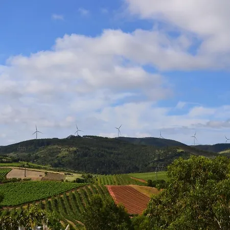 팜스테이 Mountview