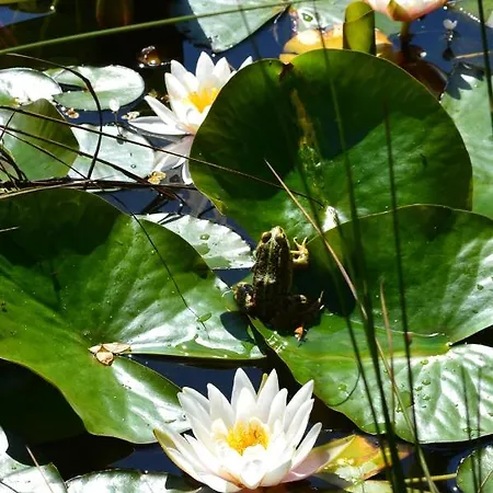 مزرعة للإقامة Mountview *