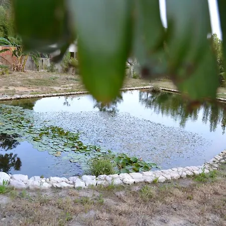 Farm stay Mountview Alenquer