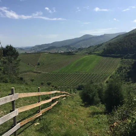 Mountview * 알렌쿠어