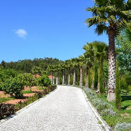 Farm stay Mountview