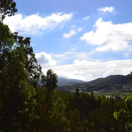 Mountview * ألينكوير