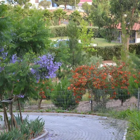 Farm stay Mountview