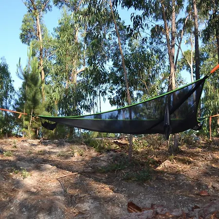 Mountview * 알렌쿠어