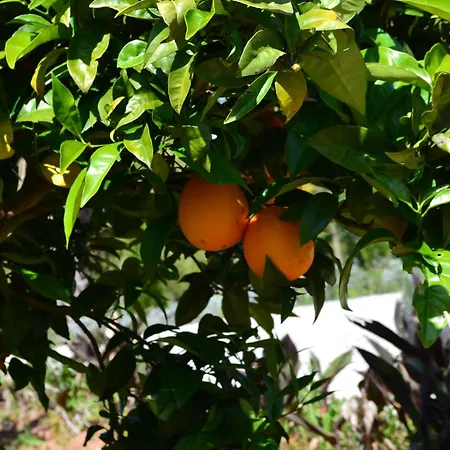 Mountview Farm stay