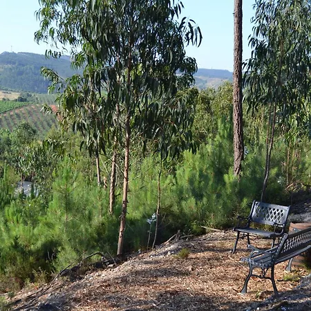 Mountview Farm stay