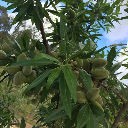 Mountview 팜스테이 *