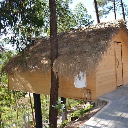 Farm stay Mountview