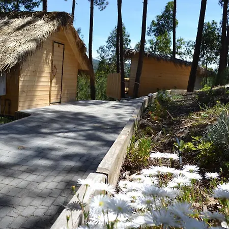 Mountview ألينكوير