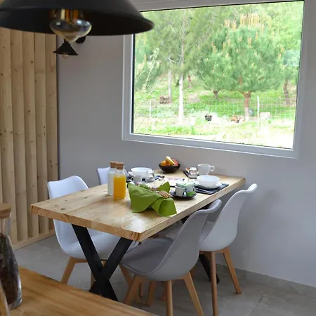 Mountview Farm stay