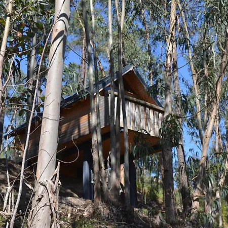 Mountview ألينكوير