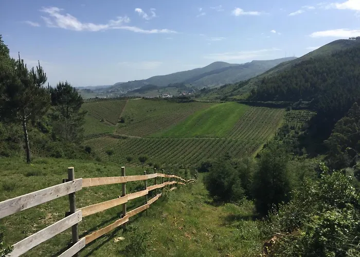 Mountview * Alenquer