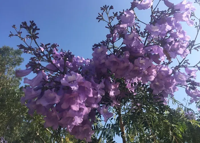 Mountview Farma Alenquer