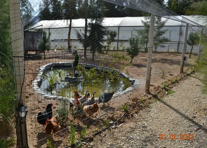 Mountview * Alenquer